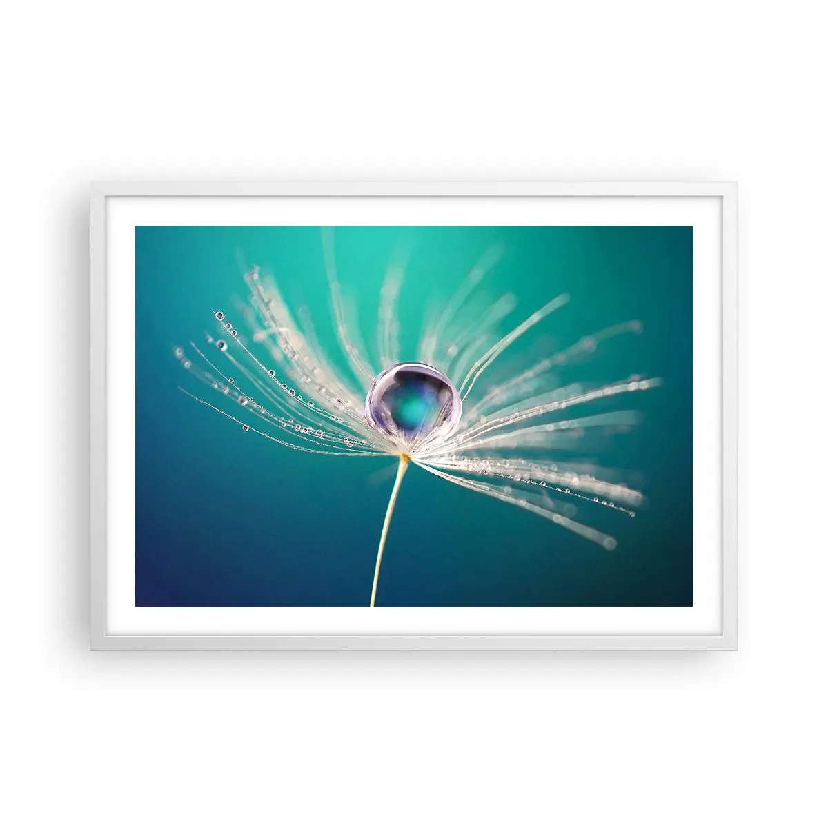 Poszter fekete keretben - Misztikus pillanat - 70x50 cm