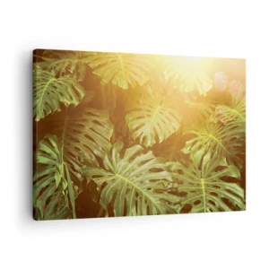 Vászonkép - Monstera levelek a napfényben, természetes háttér előtt - 70x50cm - A zöldbe belépni... - Modern fali dekoráció nappalihoz és hálószobához ARTTOR