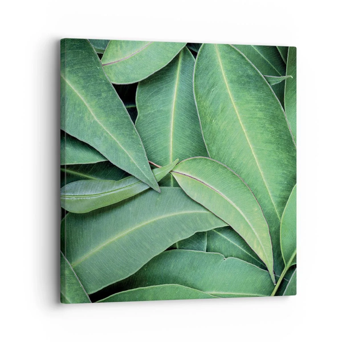 Vászonkép - Lédús és friss - 30x30 cm