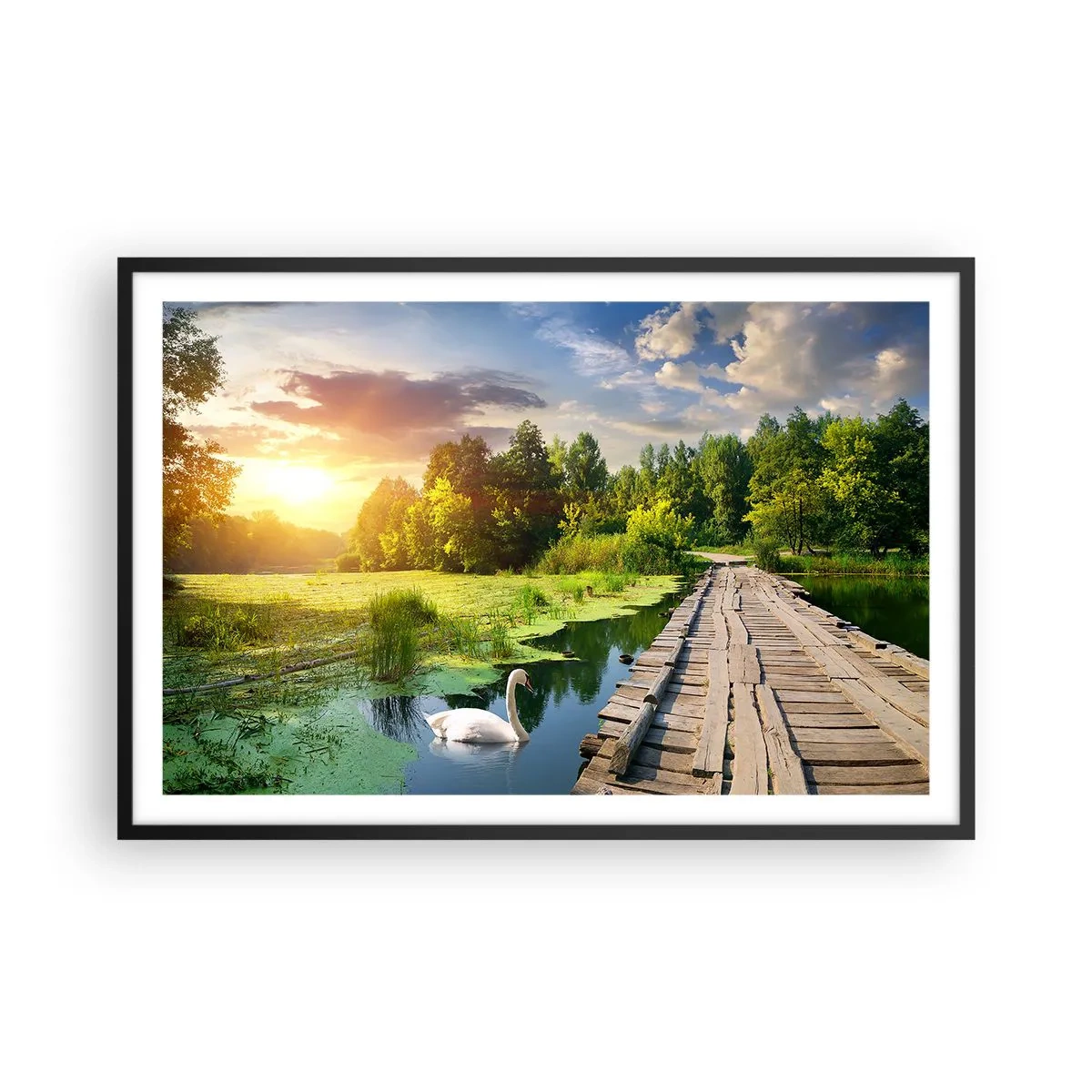 Poszter fehér keretben - Nyár, mindenhol nyár - 91x61 cm