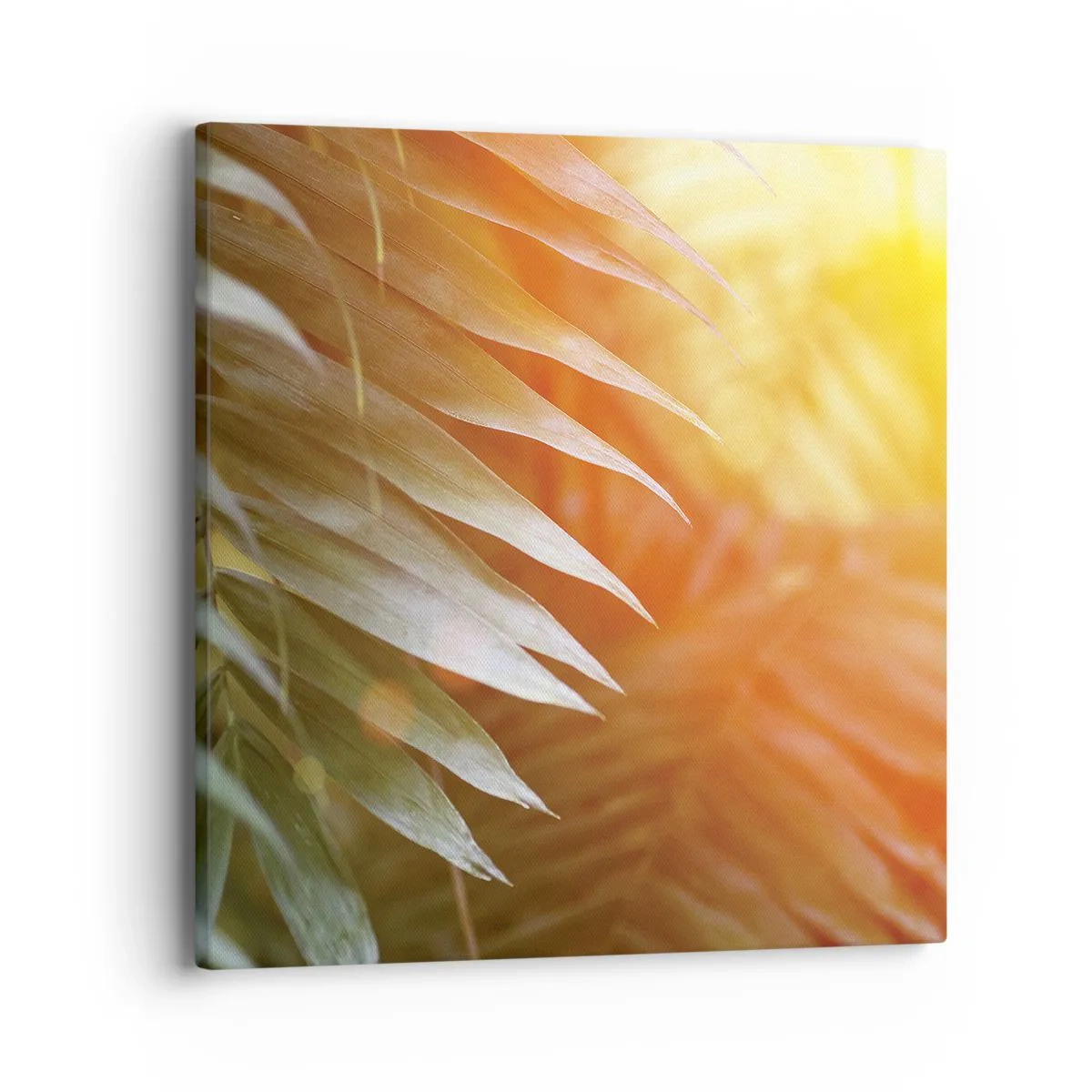 Vászonkép - Reggel a dzsungelben - 40x40 cm