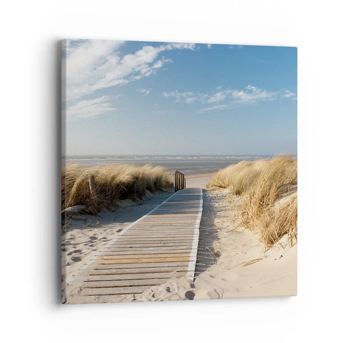 Vászonkép - A dűne mögött, a fű susogásában - 40x40 cm