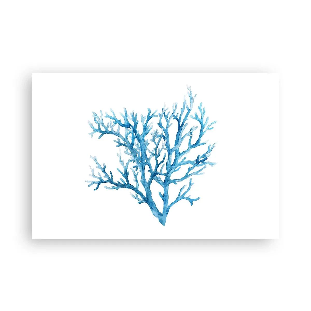 Poszter - Tengeri filigrán - 91x61 cm