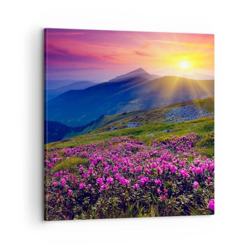 Vászonkép - … És körülötte hegyi fenyő és gyógynövények illata - 60x60 cm