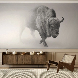 Fotótapéta Premium Sand - A préri királya - Wisent, Állatok, Bölény - 100x70 cm