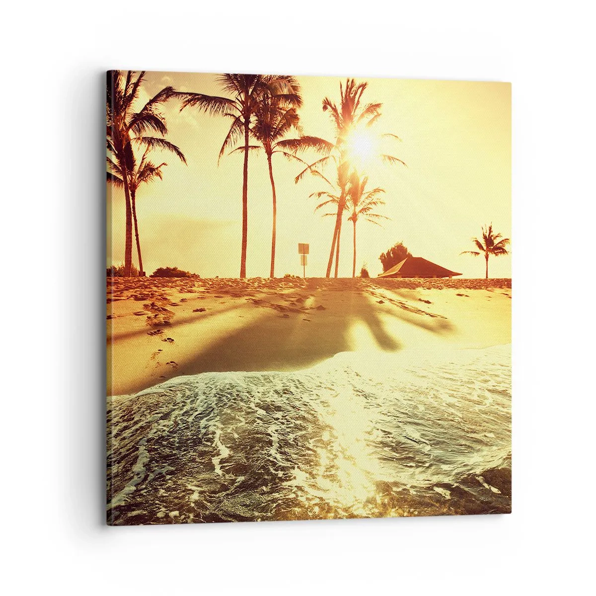Vászonkép - Kaliforniai délután - 70x70 cm