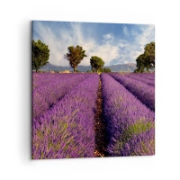 60x60 cm | Négyzetes
