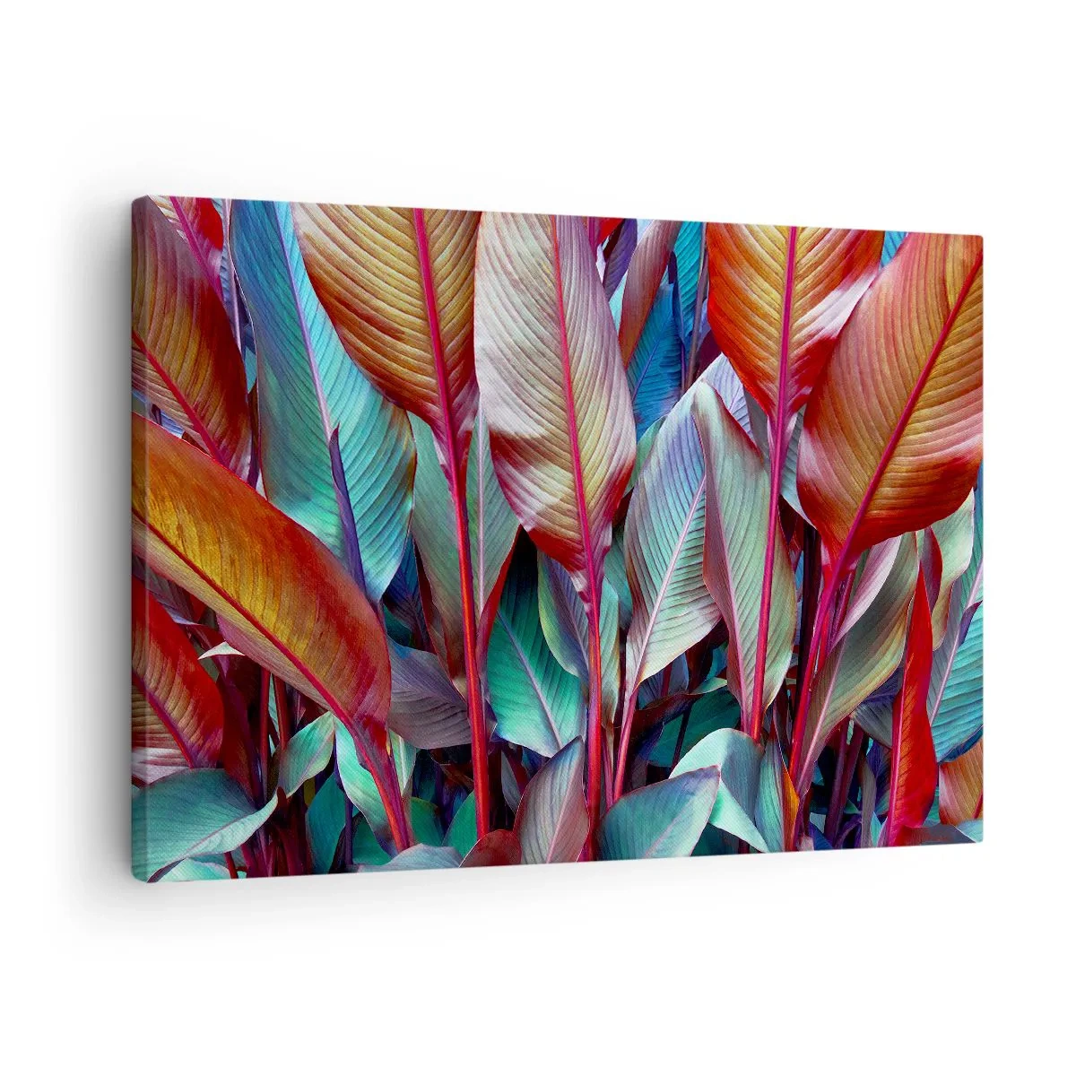 Vászonkép - Trópusi növények színes levelei a bozótosban - 70x50cm - Egy színes sűrű - Modern fali dekoráció nappalihoz és hálószobához ARTTOR