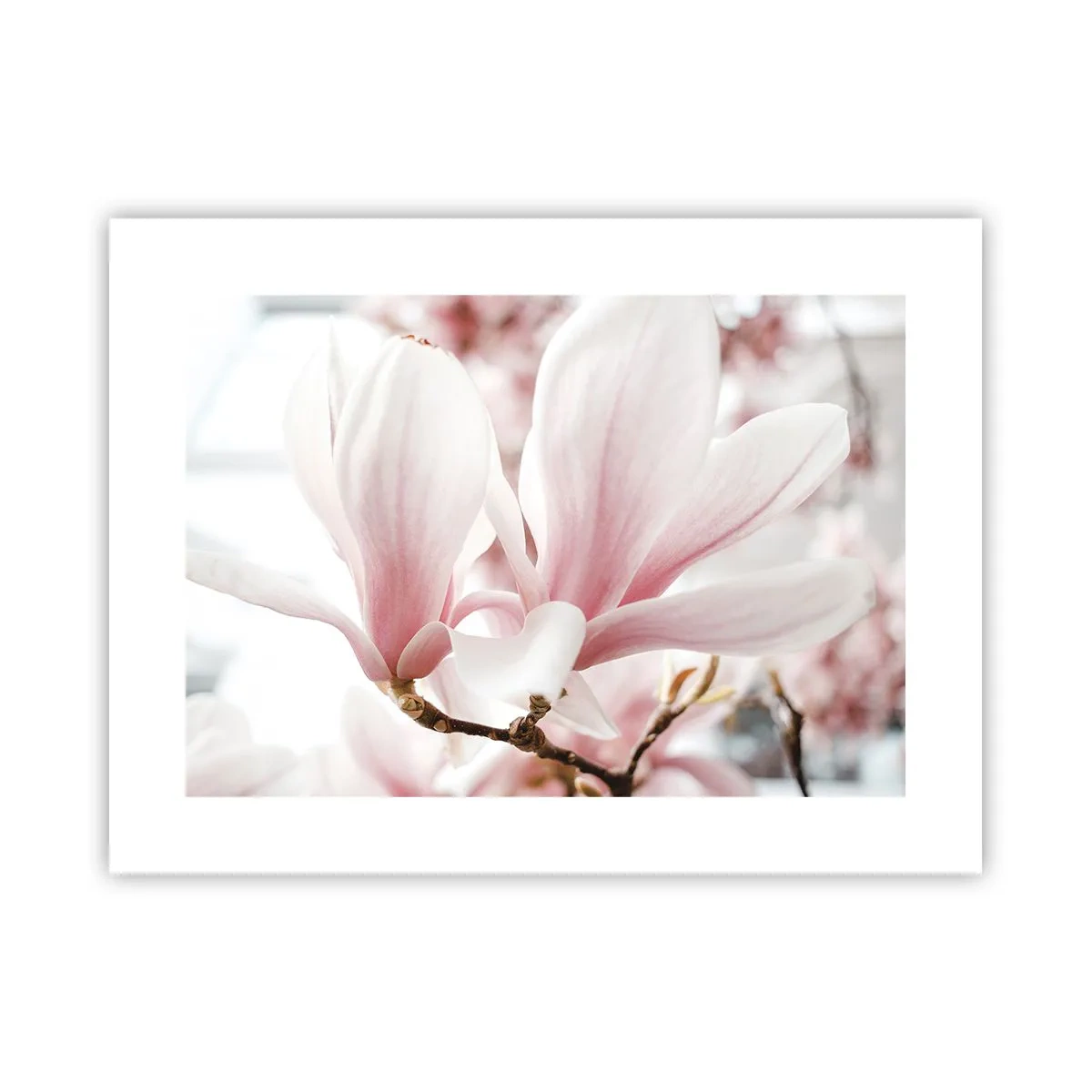 Poszter - Határtalan gyengédség - 40x30 cm