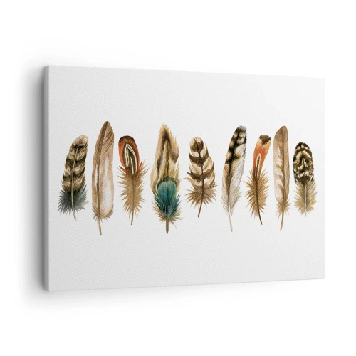 Vászonkép - Különböző tollak gyűjteményének dekoratív motívuma - 70x50cm - Tollas variáció - Modern fali dekoráció nappalihoz és hálószobához ARTTOR