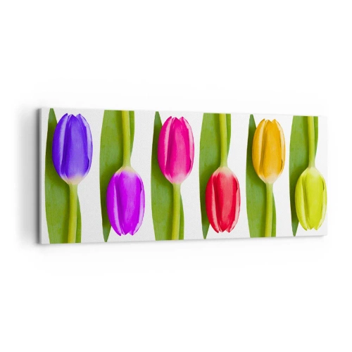 Vászonkép - Szivárvány kompozíció - 100x40 cm