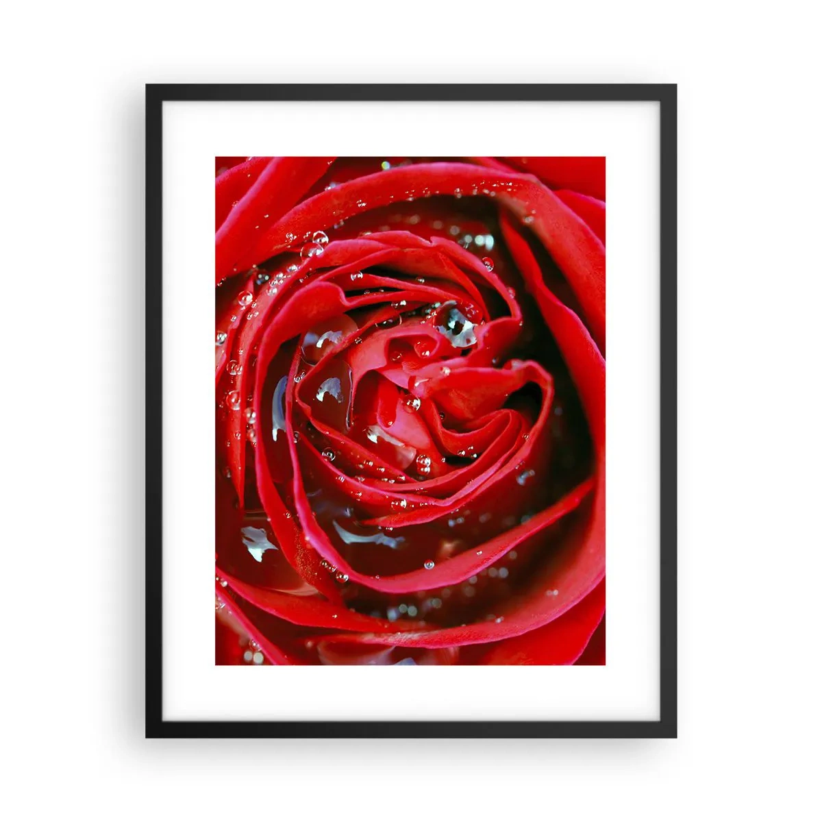 Poszter fehér keretben - A harmatcseppekben - 40x50 cm