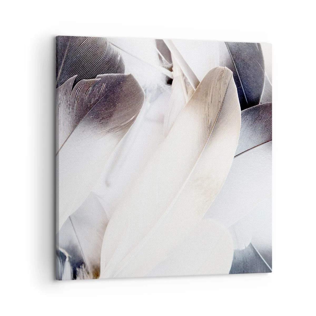 Vászonkép - Szinte angyali - 50x50 cm