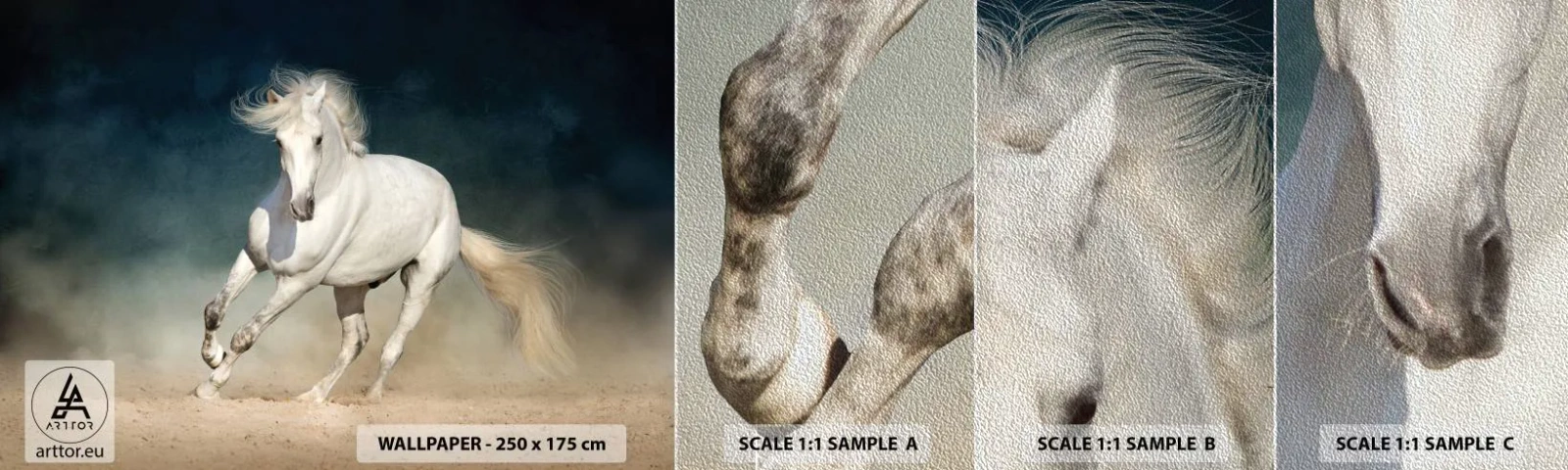 Fotótapéta Minta Premium Sand - A szabadság tiszta állapotban - Ló, Állat, fehér - 100x30 cm