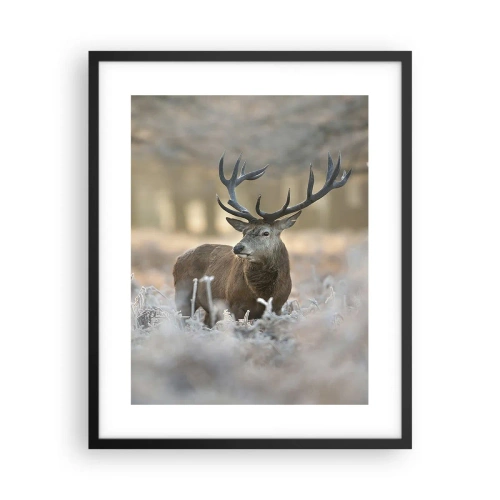 Poszter fehér keretben - Friss reggel - 40x50 cm