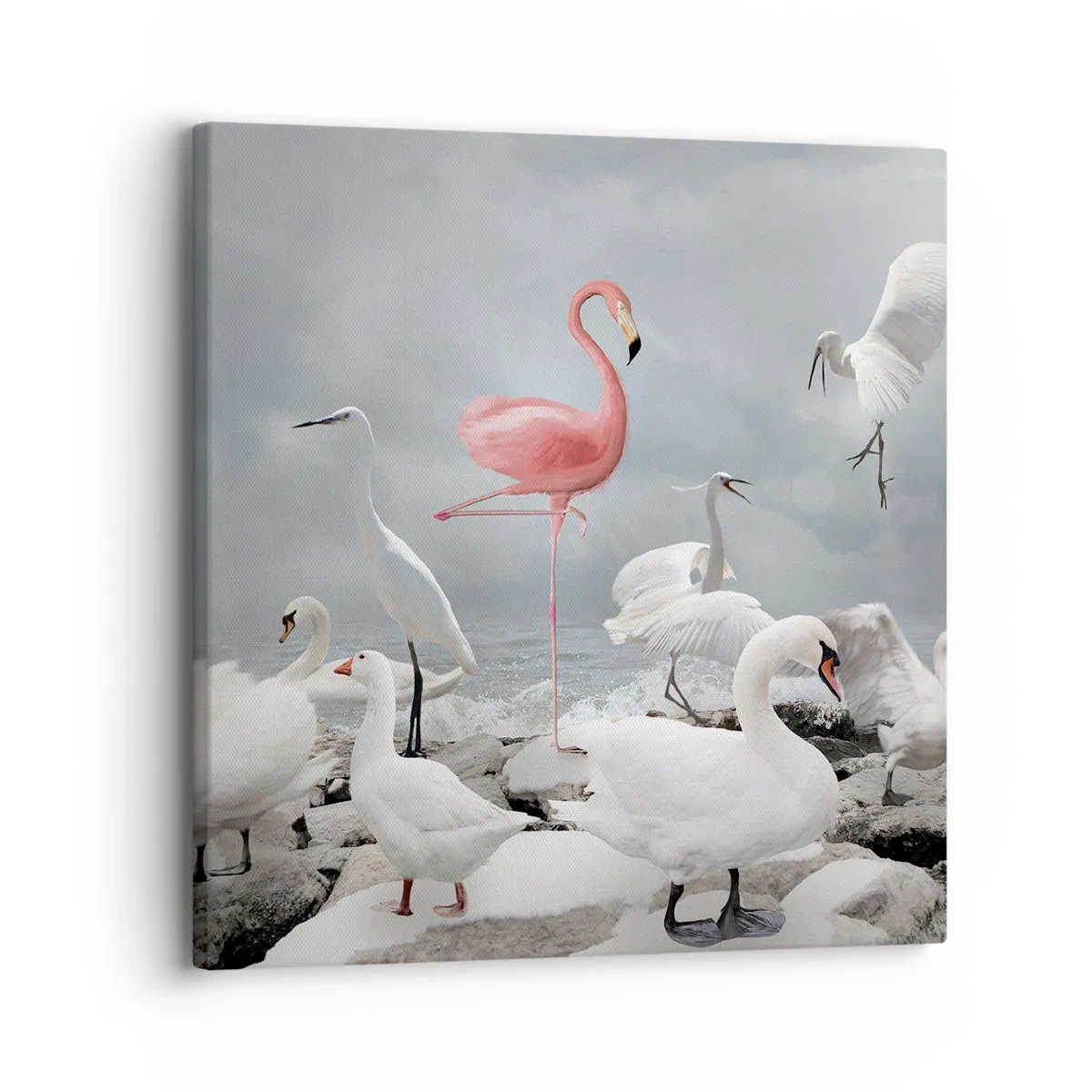 Vászonkép - Hogy kerültem ide? - 30x30 cm