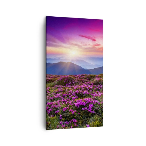 Vászonkép - A gyógynövények friss fürtjei illatoztak a mezőkről - 45x80 cm