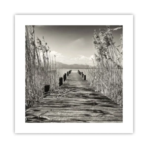 Poszter - A fű csendjében - 40x40 cm