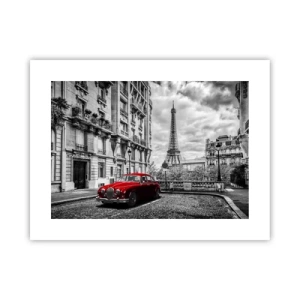 Poszter - Ragadozó a városban - 40x30 cm