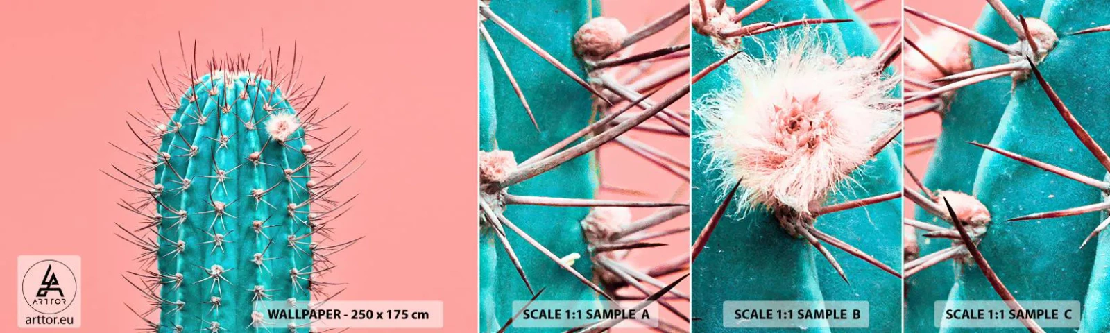 Fotótapéta Minta Standard Eco - Csak nézz - Kaktusz, Pasztell, Minimalizmus - 100x30 cm