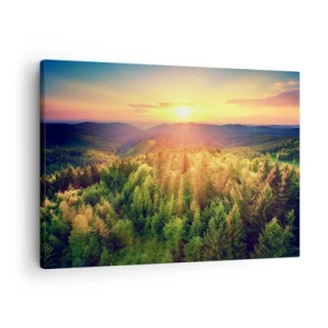 Vászonkép - Erdői táj naplementével a dombok felett - 70x50cm - Hegytetők és csúcsok - Modern fali dekoráció nappalihoz és hálószobához ARTTOR