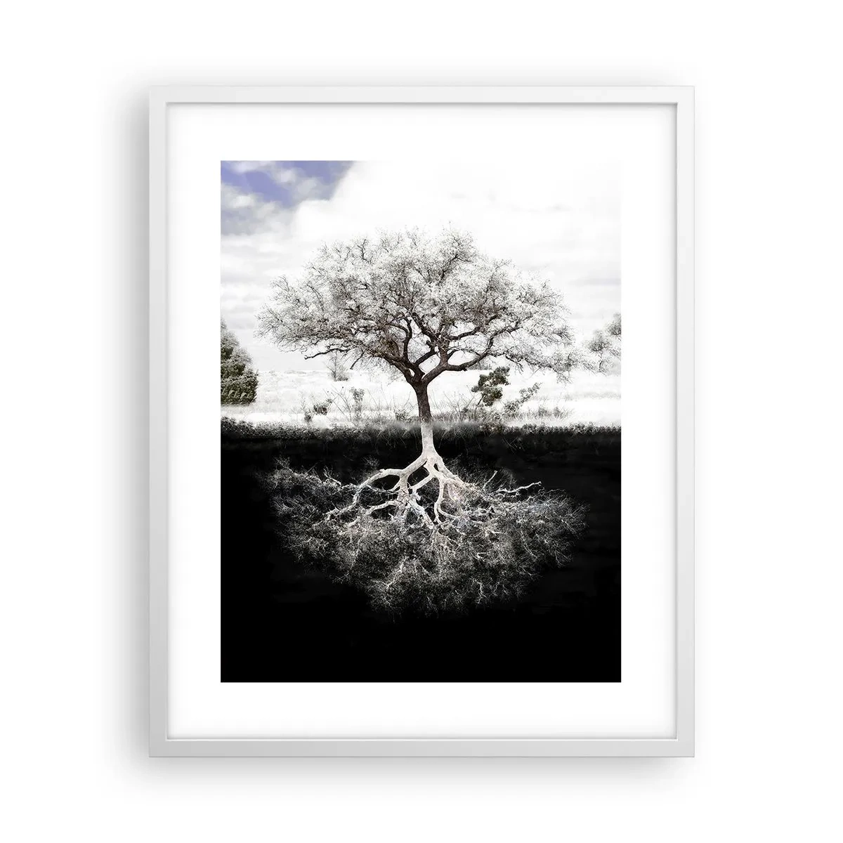 Poszter fekete keretben - A világ természetének felfedezése - 40x50 cm