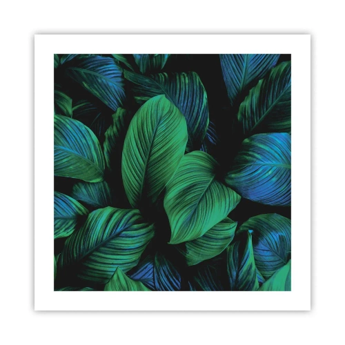 Poszter - A zöld tömegben - 50x50 cm