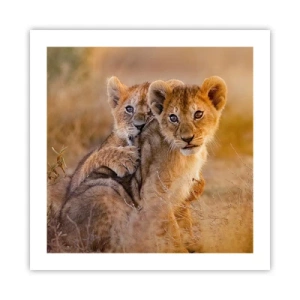 Poszter - Ne zavarni! Szórakozunk - 50x50 cm