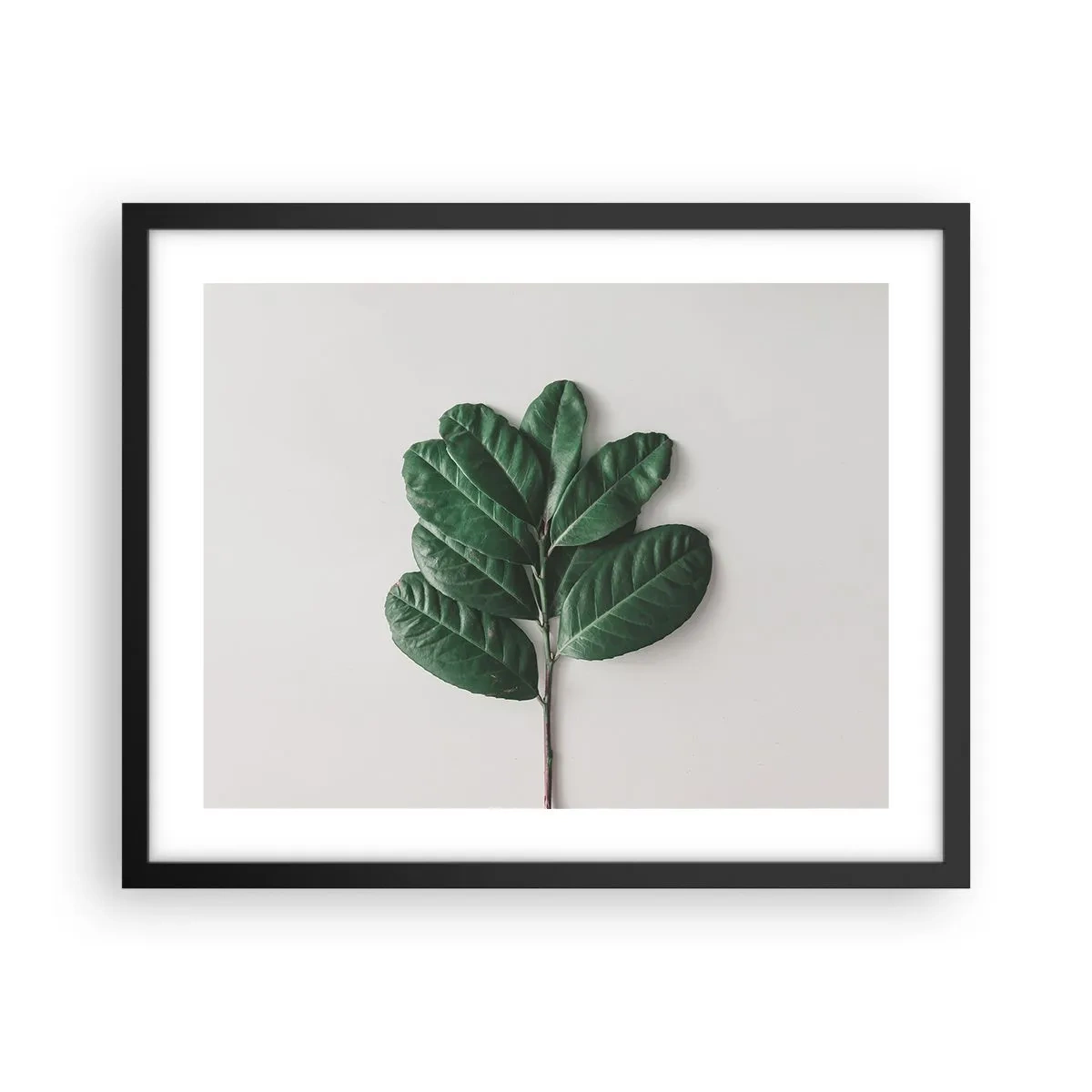 Poszter fehér keretben - Rajz csak a természetről - 50x40 cm