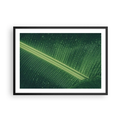 Poszter fehér keretben - A növényzet szerkezete - 70x50 cm