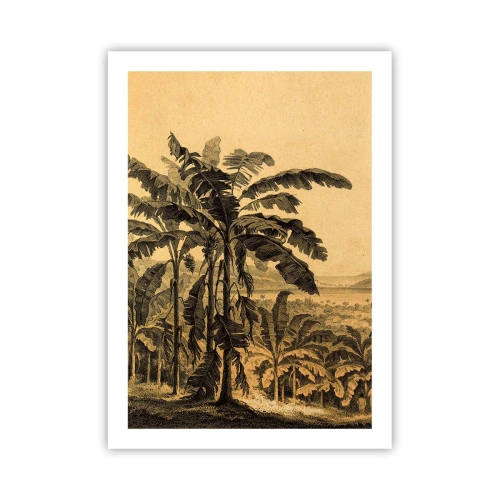 Poszter - Gyarmati klímában - 50x70 cm