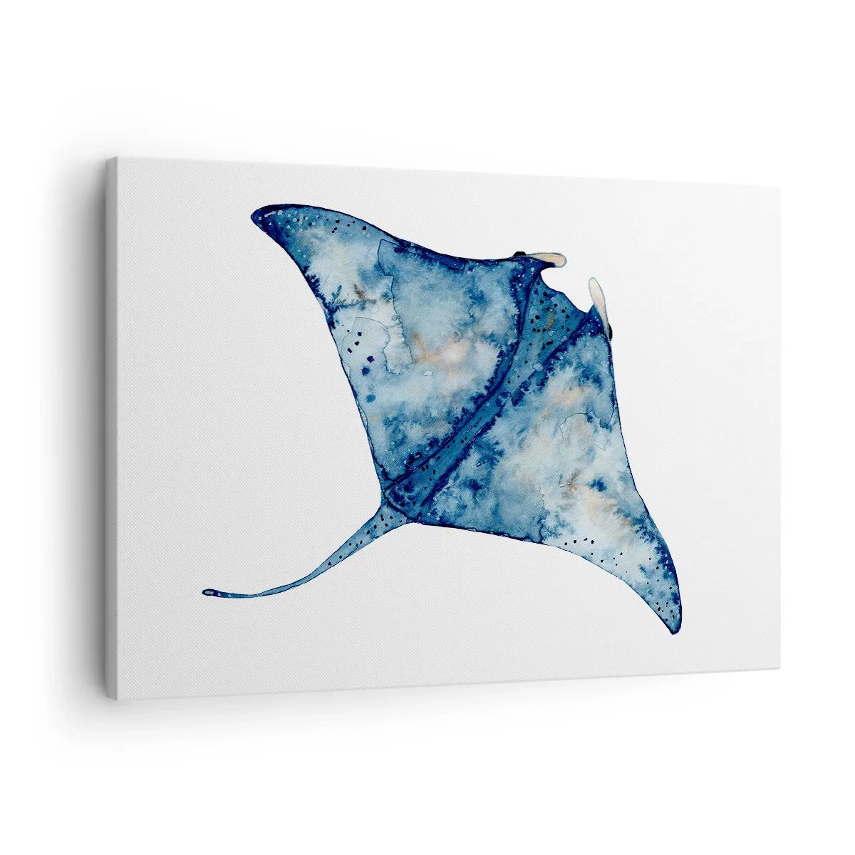 Vászonkép - Kék rája akvarell stílusú fehér alapon - 70x50cm - Élet kékben - Modern fali dekoráció nappalihoz és hálószobához ARTTOR