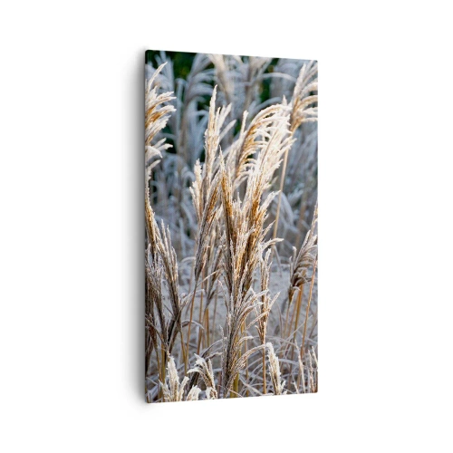 Vászonkép - Zúzmarába öltözött - 55x100 cm