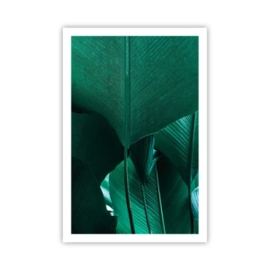 Poszter - A fény felé nézve - 61x91 cm