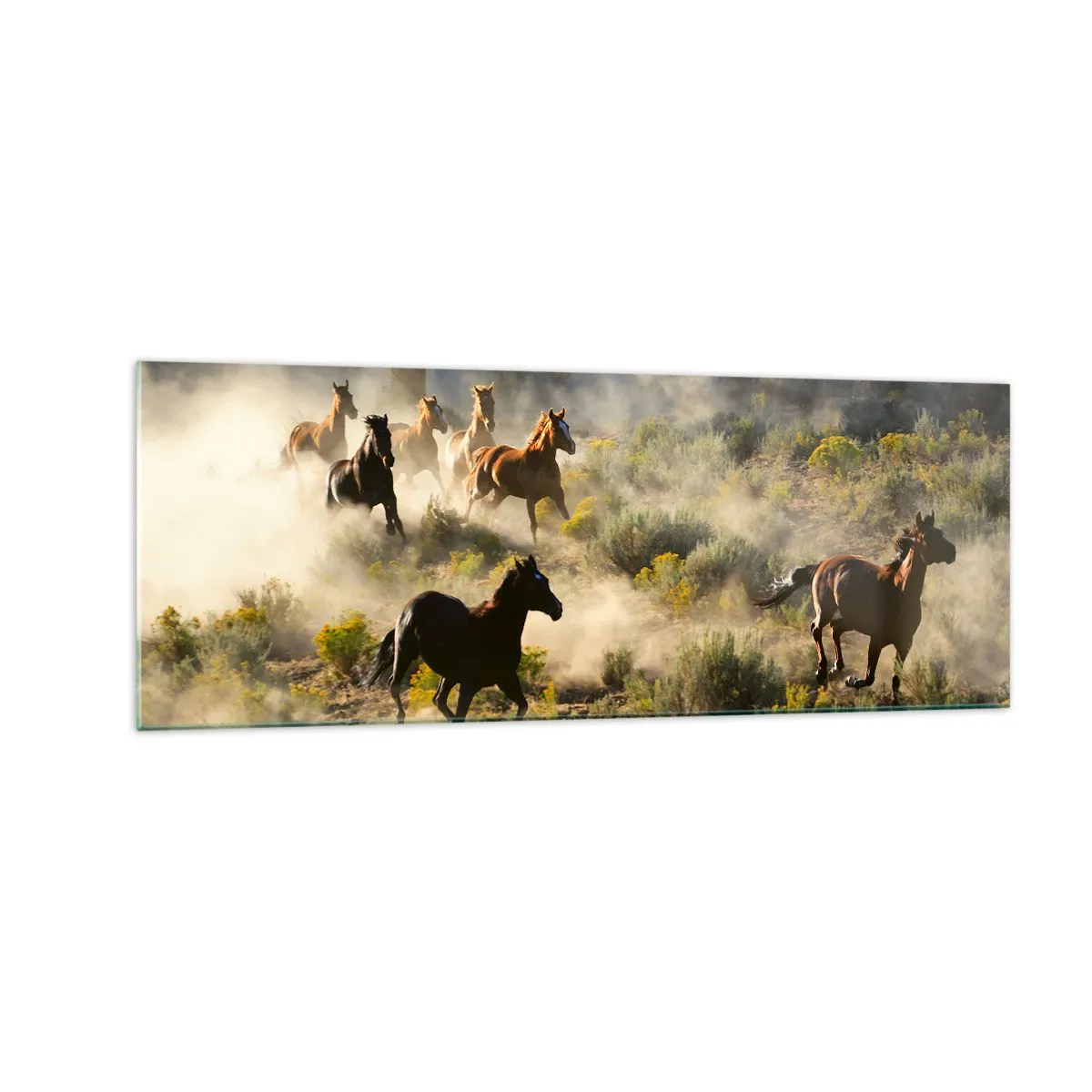 Üveg kép - Rivalizálás – szabadság, vagy férfierő? - 140x50 cm