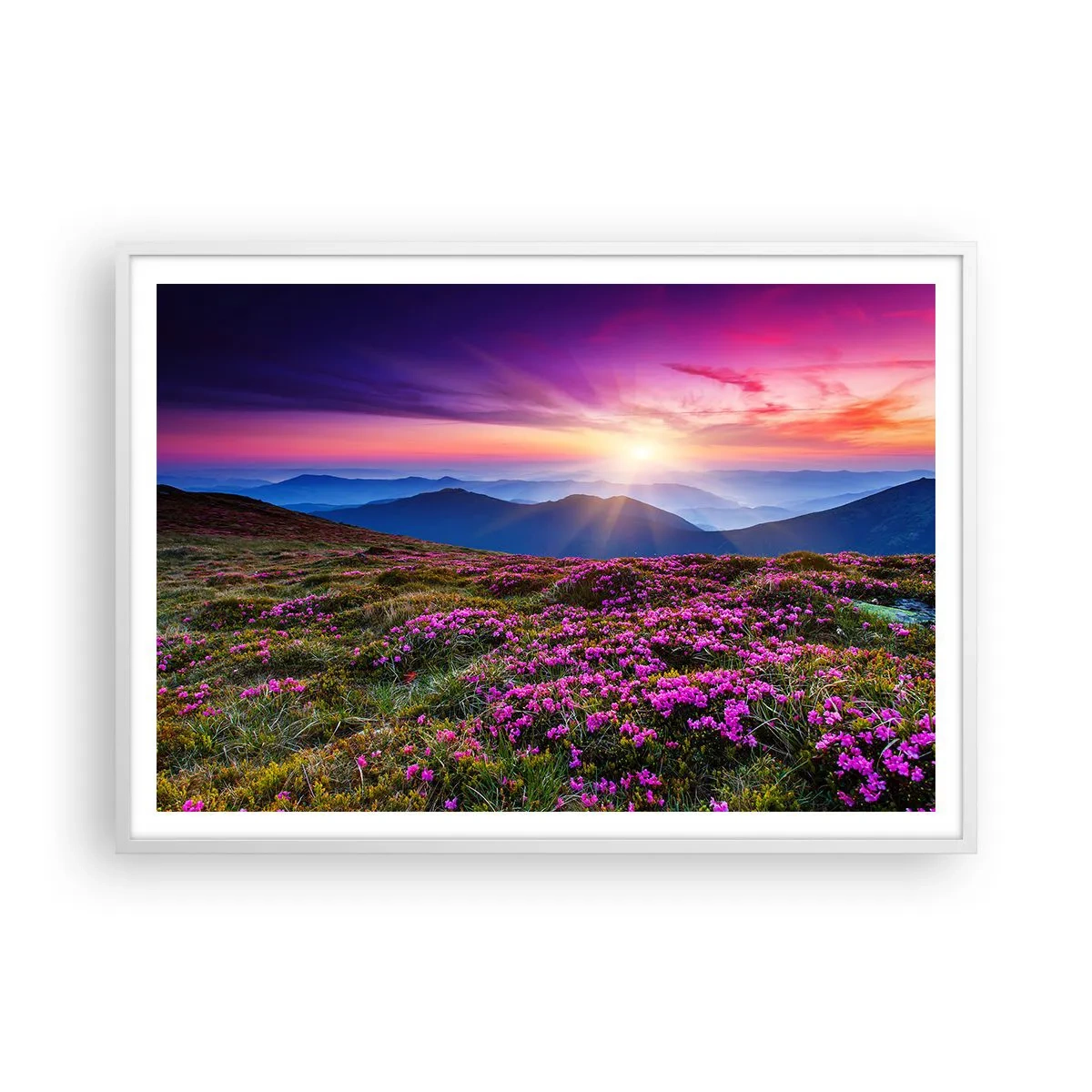 Poszter fekete keretben - A gyógynövények friss fürtjei illatoztak a mezőkről - 100x70 cm
