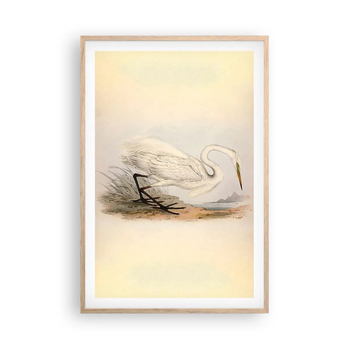 Poszter világos tölgy keretben - Hölgy a nádasban - 61x91 cm