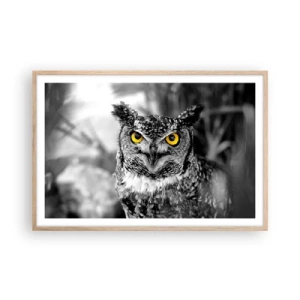 Poszter világos tölgy keretben - Semmi sem fog elbújni - 91x61 cm