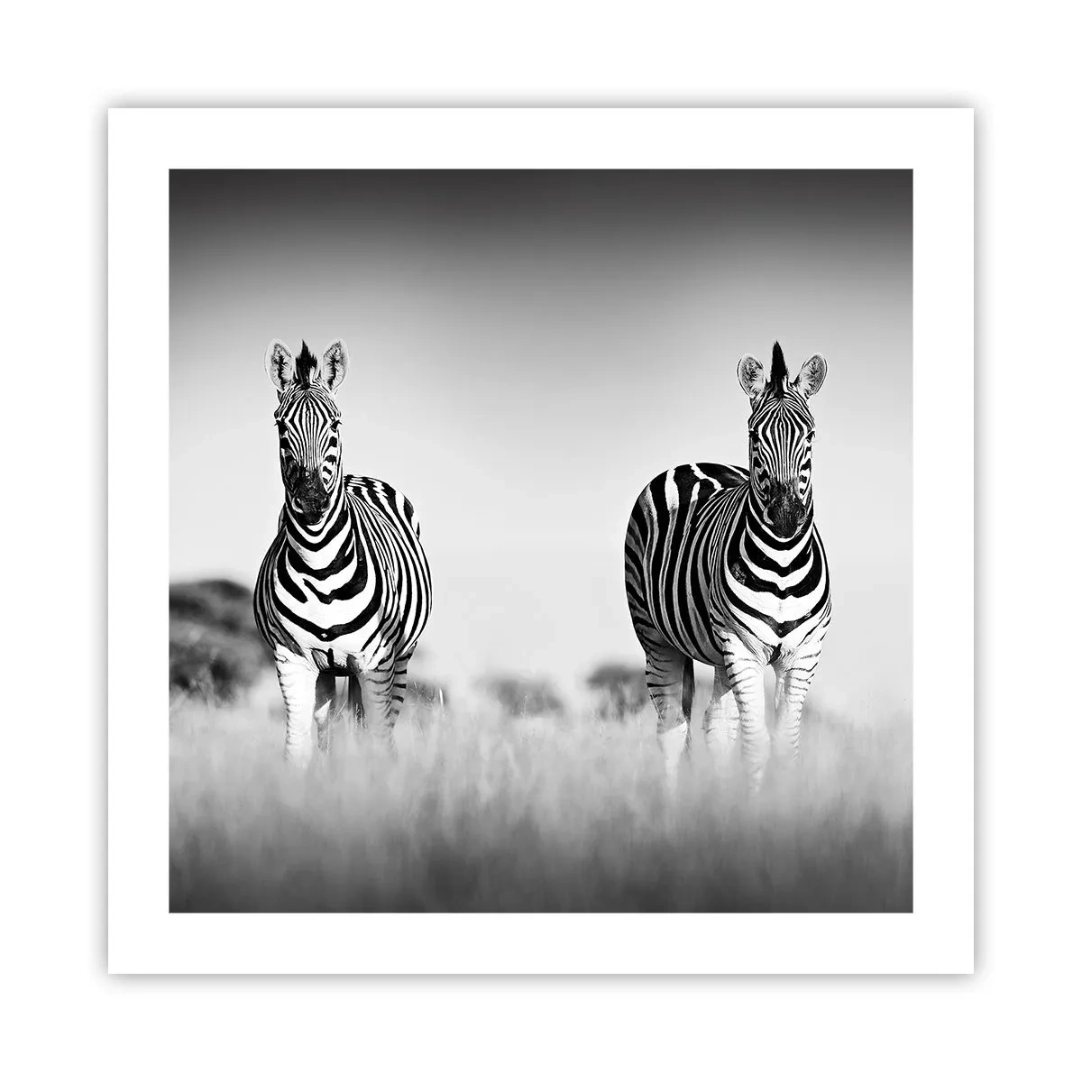 Poszter - A világ mégis fekete-fehér - 50x50 cm