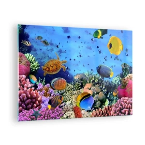 Üveg kép - Színes halak és egy tengeri teknős a korallzátony ellen - 70x50cm - És mit tudunk az életről... - Modern fali dekoráció nappalihoz és hálószobához ARTTOR