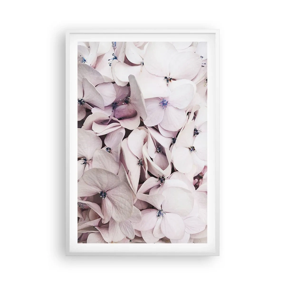 Poszter fekete keretben - A virágok áradatában - 61x91 cm