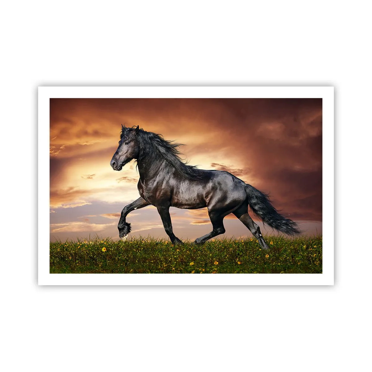 Poszter - Fekete herceg - 91x61 cm