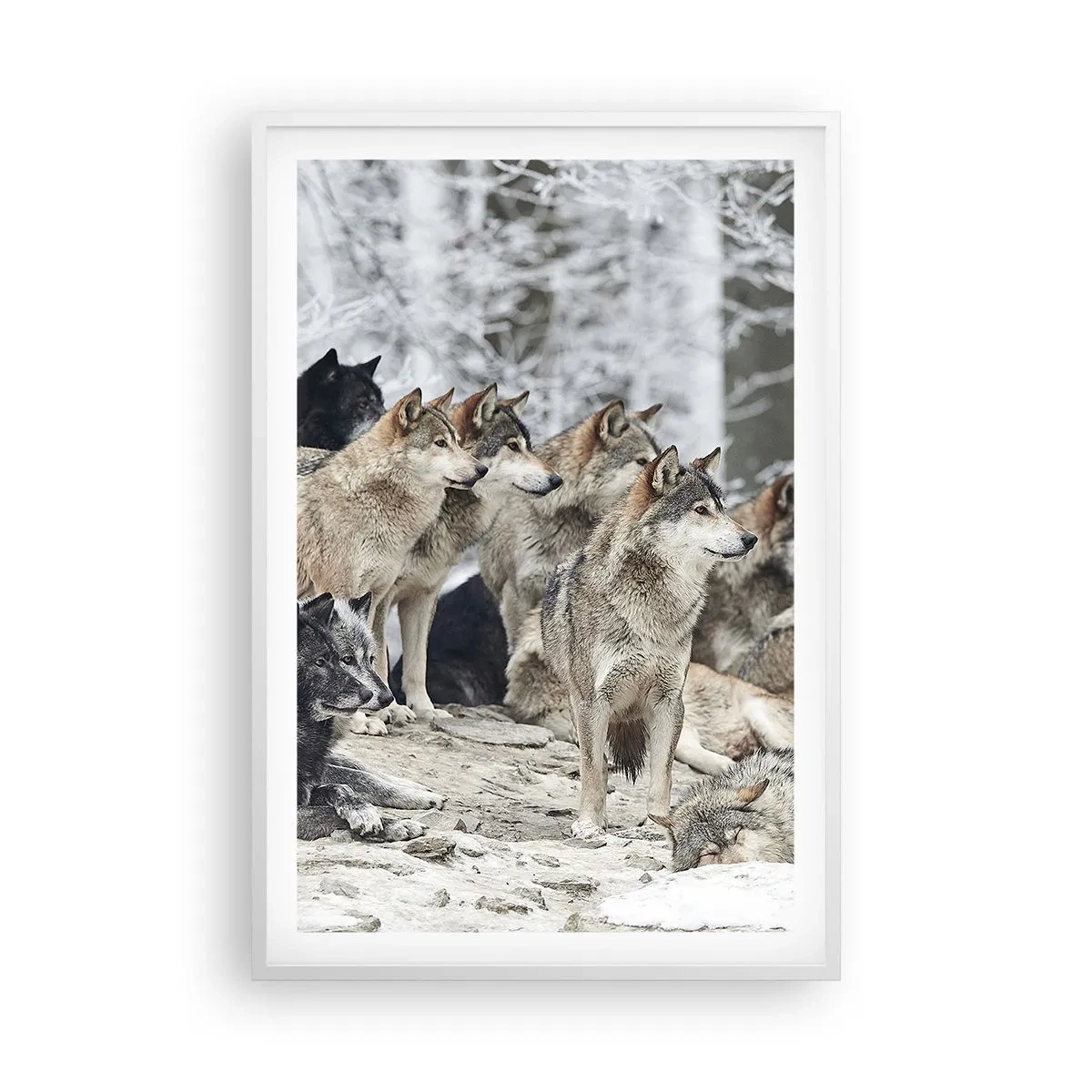 Poszter fekete keretben - Család és barátok - 61x91 cm