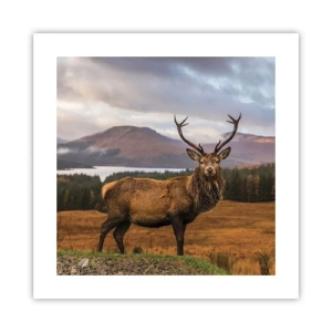 Poszter - A természet fensége - 40x40 cm