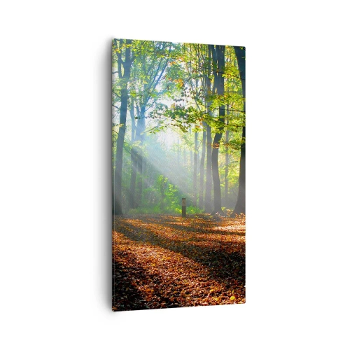 Vászonkép - Ragyogások és árnyékok - 55x100 cm