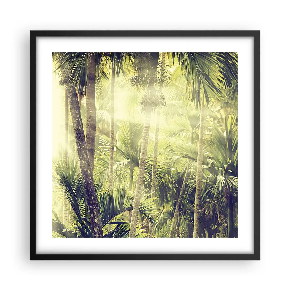 Poszter fehér keretben - Zöld forróságban - 50x50 cm