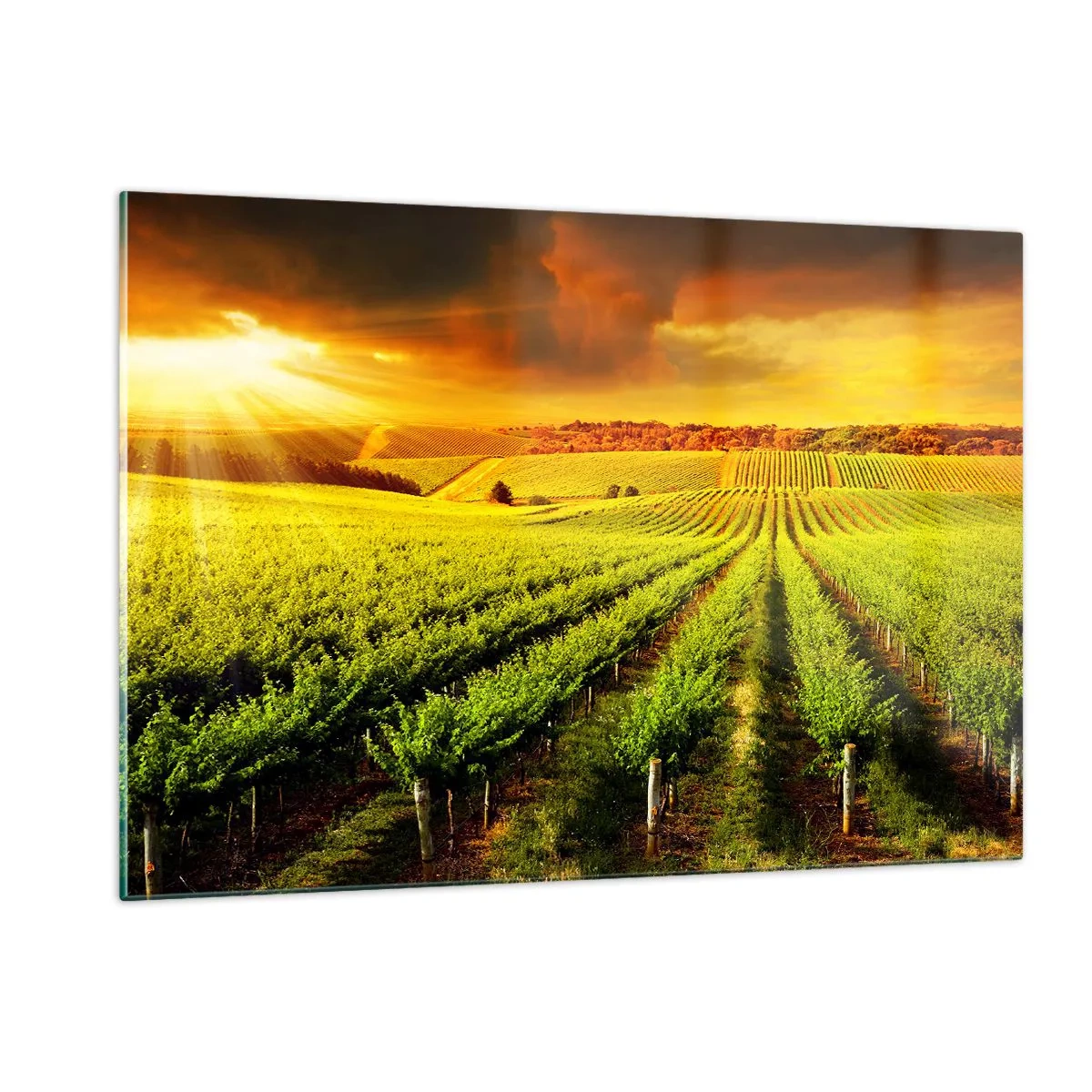 Üveg kép - Ausztrál nap alatt - 120x80 cm