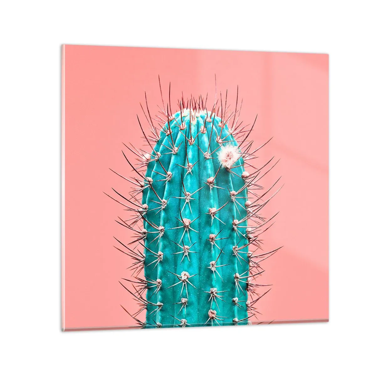 Üveg kép - Csak nézz - 40x40 cm