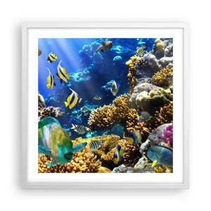 Poszter fekete keretben - Nagy forgalom a nyaraló ösvényen - 50x50 cm