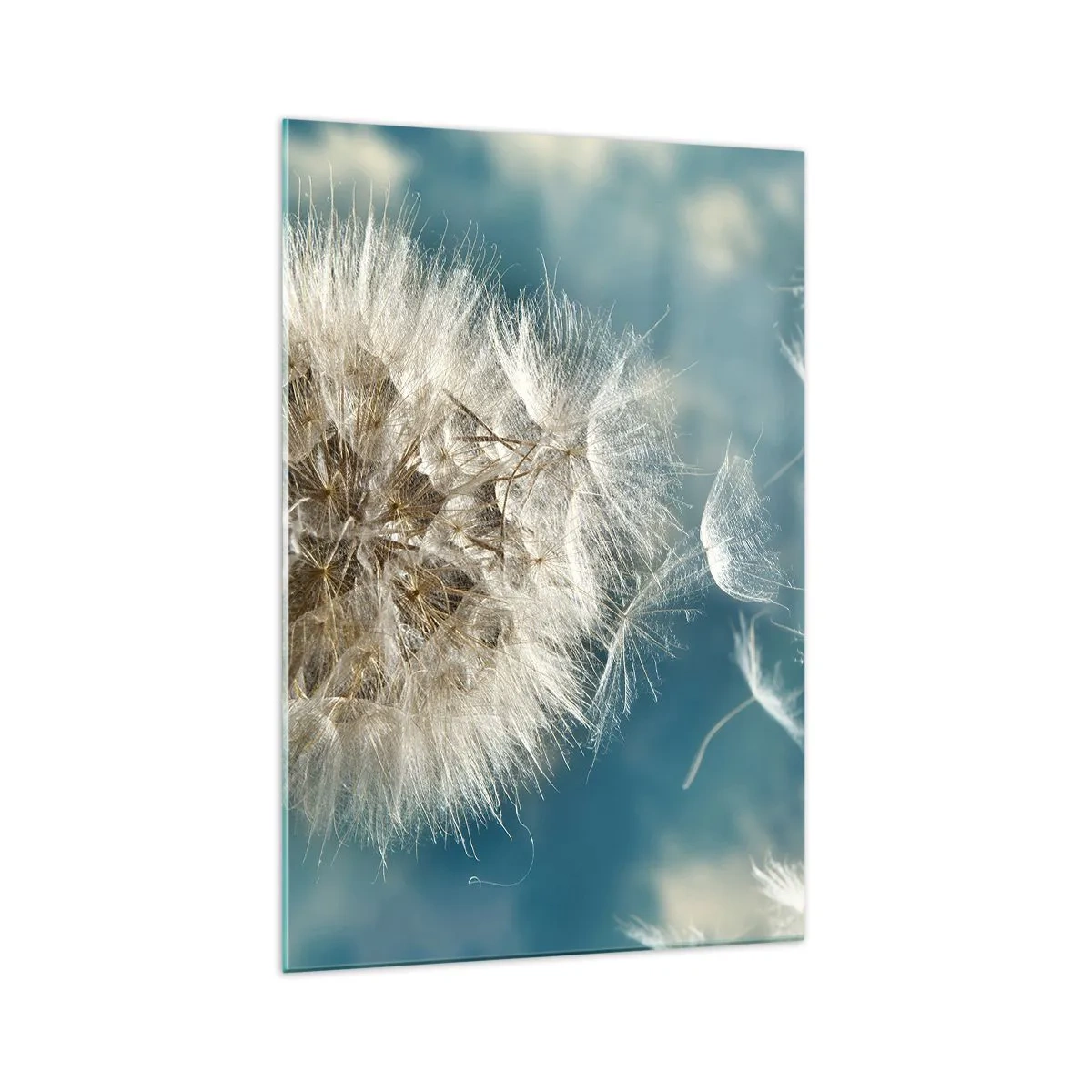 Üveg kép - Angyal lehelete - 70x100 cm